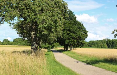 Hammelsgraben-Trail | © Unbekannt