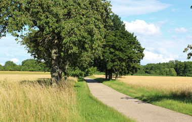 Hammelsgraben-Trail | © Unbekannt