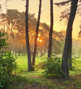 Hardtwald - Golfplatz - Dünen | © Tourist Information Schwetzingen