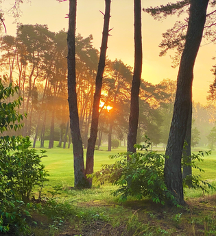 Hardtwald - Golfplatz - Dünen | © Tourist Information Schwetzingen