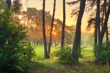 Blick durch Bäume auf die Rasenflächen des Golfplatzes in Oftersheim. | © Tourist Information Schwetzingen