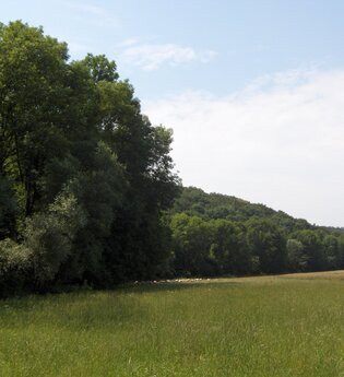 Hasenlauf-Rundweg | © Land der 1000 Hügel - Kraichgau-Stromberg