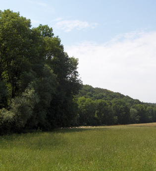 Hasenlauf-Rundweg | © Land der 1000 Hügel - Kraichgau-Stromberg