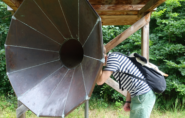 Heilbronner Walderlebnispfad | © Touristikgemeinschaft HeilbronnerLand e.V.