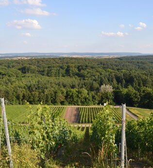 Hilsbacher Eichelberg Tour | © Stadt Sinsheim