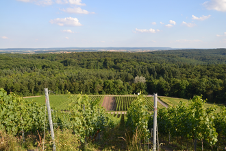 Hilsbacher Eichelberg Tour | © Stadt Sinsheim