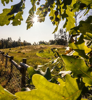 Hirschacker und Dossenwald