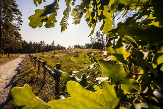 Hirschacker und Dossenwald