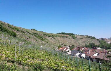 Historischer Rundgang Roßwag | © Land der 1000 Hügel - Kraichgau-Stromberg