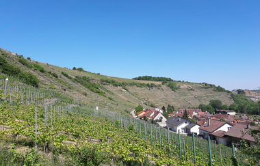 Historischer Rundgang Roßwag | © Land der 1000 Hügel - Kraichgau-Stromberg