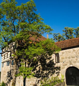 Die Burg ist von Bäumen umgeben | © Touristikgemeinschaft Hohenlohe e. V. | Gemeinde Wüstenrot