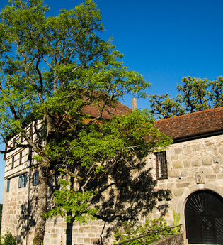 Die Burg ist von Bäumen umgeben | © Touristikgemeinschaft Hohenlohe e. V. | Gemeinde Wüstenrot