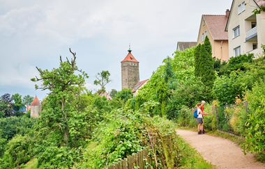 Wandernde auf dem Höhenrandweg Waldenburg | © Touristikgemeinschaft Hohenlohe e. V.  | Florian Trykowski