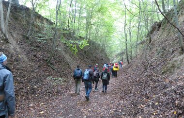 Hohlweg "Weiße Hohl" Nußloch | © Landratsamt Rhein-Neckar-Kreis