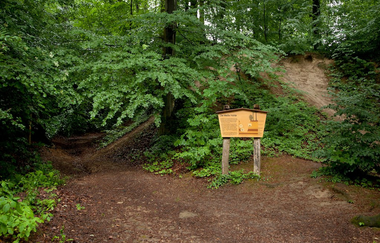 Hohlweg "Weiße Hohl" Nußloch | © Landratsamt Rhein-Neckar-Kreis