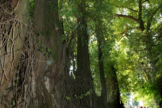 Hohlwegwanderung ab Bruchsal - Route 1 | © Land der 1000 Hügel - Kraichgau-Stromberg