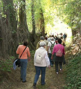 Hohlwegwanderung ab Bruchsal - Route 2 | © Land der 1000 Hügel - Kraichgau-Stromberg