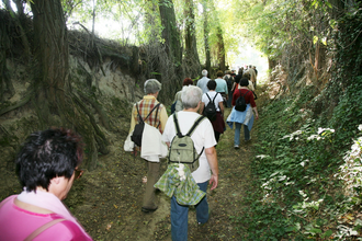 Hohlwegwanderung ab Bruchsal - Route 3 | © Land der 1000 Hügel - Kraichgau-Stromberg