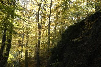 Hohlwegwanderung ab Bruchsal - Route 4 | © Land der 1000 Hügel - Kraichgau-Stromberg
