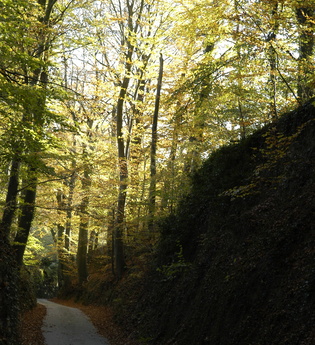 Hohlwegwanderung ab Bruchsal - Route 4 | © Land der 1000 Hügel - Kraichgau-Stromberg