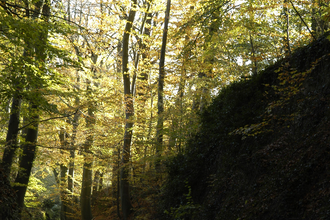 Hohlwegwanderung ab Bruchsal - Route 4 | © Land der 1000 Hügel - Kraichgau-Stromberg