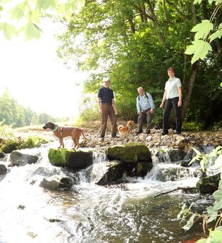 Wanderer bei Buchen mit Hund | © Touristikgemeinschaft Odenwald e.V.