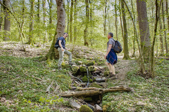 Wanderer bei Neckarkatzenbach | © Touristikgemeinschaft Odenwald e.V.