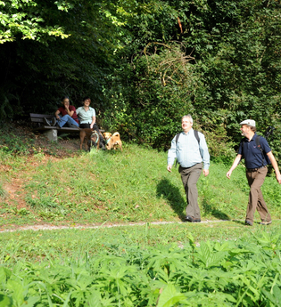 Wanderer bei Buchen | © Touristikgemeinschaft Odenwald e.V.