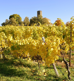HW 46  Reinsheim - Langenbrücken - Schwaigern | © Stadt Sinsheim