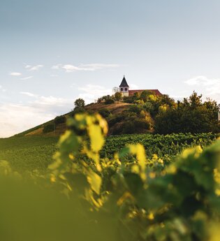 Michaelsberg Cleebronn |  HeilbronnerLand | © Touristikgemeinschaft HeilbronnerLand e.V.