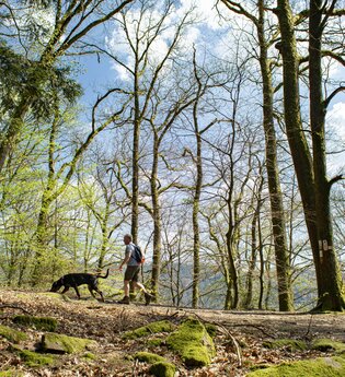 Wanderer mit Hund bei Hirschhorn | © Touristikgemeinschaft Odenwald e.V.