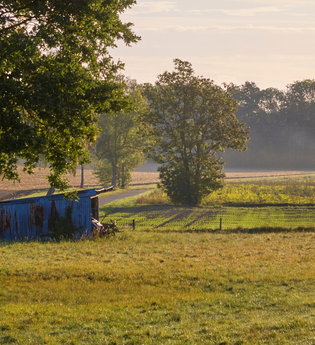 Weide bei Kupferzell | © Touristikgemeinschaft Hohenlohe e.V. | Andi Schmid