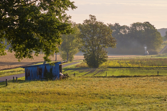 Weide bei Kupferzell | © Touristikgemeinschaft Hohenlohe e.V. | Andi Schmid