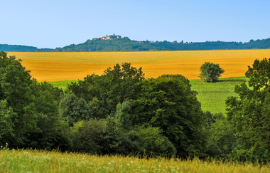 Ausblick auf Schloss Waldenburg | © Touristikgemeinschaft Hohenlohe e. V.