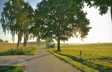 Straße mit Bäumen bei Kupferzell | © Touristikgemeinschaft Hohenlohe e. V. | Andi Schmid