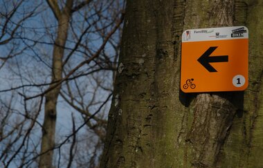 IVB MTB  Tour 1 Stadtwaldrunde am Gaffenberg | HeilbronnerLand | © Touristikgemeinschaft HeilbronnerLAnd