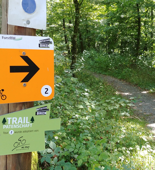 IVB MTB Tour 2 | Salzweg | © Initiative Verantwortungsvolles Biken Landkreis Heilbronn