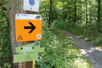 IVB MTB Tour 2 | Salzweg | © Initiative Verantwortungsvolles Biken Landkreis Heilbronn