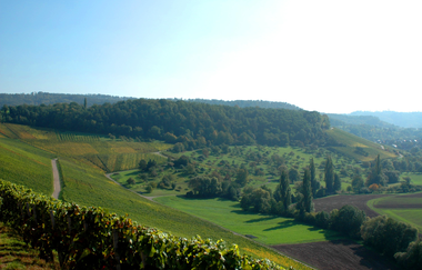Eschenauer Paradies | Obersulm | Weinsberger Tal | HeilbronnerLand | © Touristikgemeinschaft HeilbronnerLand e.V.