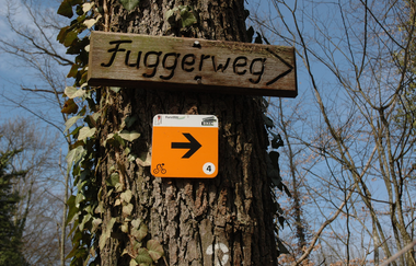 am Fuggerweg | IVB MTB Tour 4 - BurgenTour | © Touristikgemeinschaft HeilbronnerLand