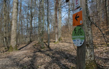 am Fuggerweg | IVB MTB Tour 4 - BurgenTour | © Touristikgemeinschaft HeilbronnerLand