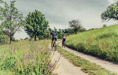 Naturparktouren HeilbronnerLand - Radfahren im Naturpark Schwäbisch-Fränkischer Wald | Sauklinge Löwenstein | © Touristikgemeinschaft HeilbronnerLand e.V.