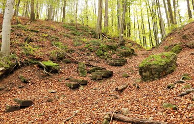 Alter Schulweg | Mountainbiketour IVB MTB 5 | Wüstenrot | HeilbronnerLand | © IVB MTB