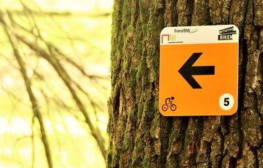 Steinknickle Neuhütten | Mountainbiketour IVB MTB 5 | Wüstenrot | HeilbronnerLand