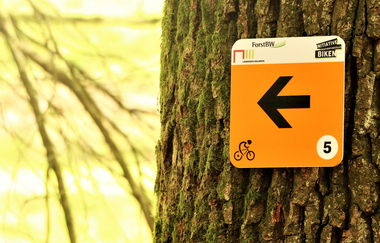 Steinknickle Neuhütten | Mountainbiketour IVB MTB 5 | Wüstenrot | HeilbronnerLand