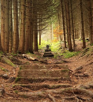 Alter Schulweg | Mountainbiketour IVB MTB 5 | Wüstenrot | HeilbronnerLand | © IVB MTB