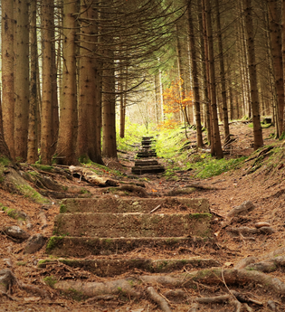 Alter Schulweg | Mountainbiketour IVB MTB 5 | Wüstenrot | HeilbronnerLand | © IVB MTB