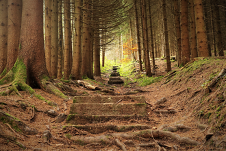 Alter Schulweg | Mountainbiketour IVB MTB 5 | Wüstenrot | HeilbronnerLand | © IVB MTB