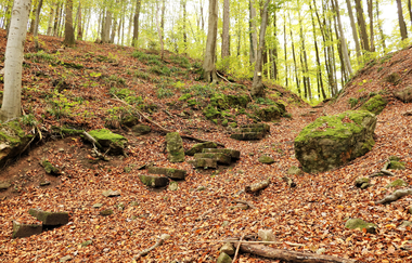 Alter Schulweg | Mountainbiketour IVB MTB 5 | Wüstenrot | HeilbronnerLand | © IVB MTB