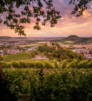 Blick vom Fohlenberg auf Burg Hohenbeilstein | HeilbronnerLand | © Touristikgemeinschaft HeilbronnerLand